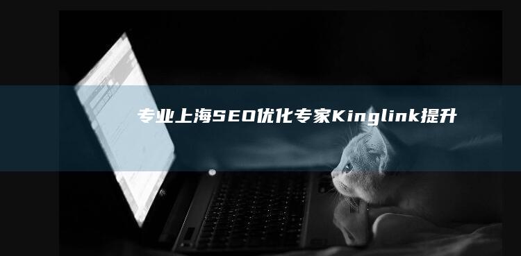 专业上海SEO优化专家Kinglink：提升网站排名与流量